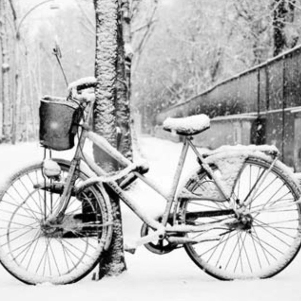 I’m a FAST shipper! 🚲